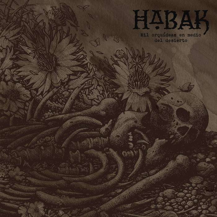 Habak — Mil Orquídeas en Medio del Desierto